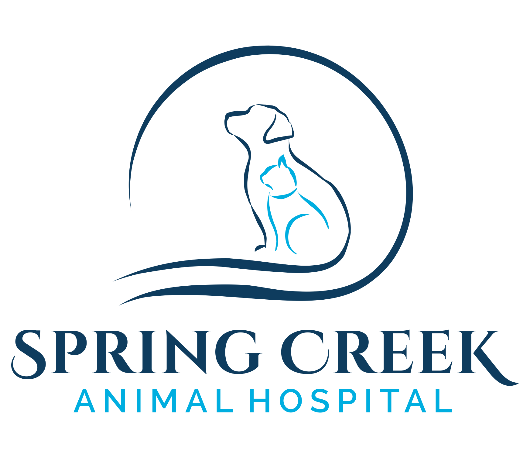 Spring Creek Animal Hospital San Antonio, TX
