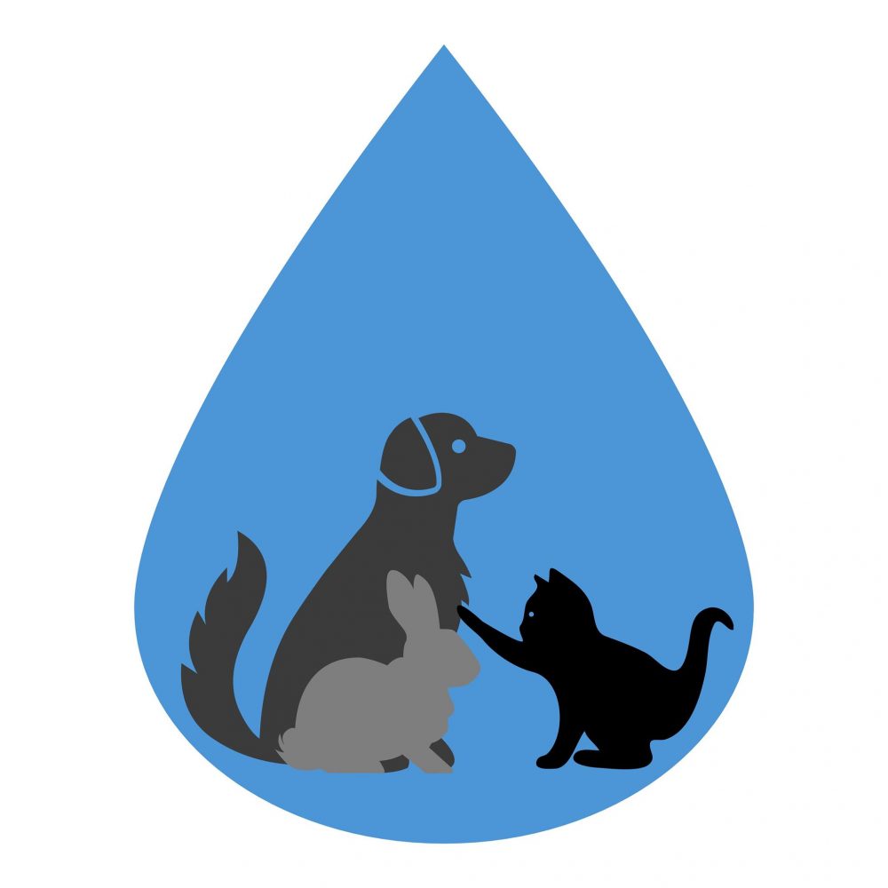 Dripping Springs Pet Hospital Okmulgee OK dripping-springs-pet-hospital-okmulgee-ok